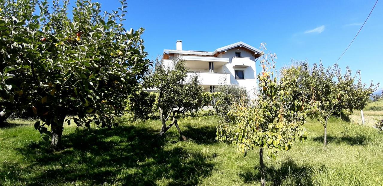 Al Settimo Miglio, Alloggio Agrituristico Villa Treppo Grande Exterior photo
